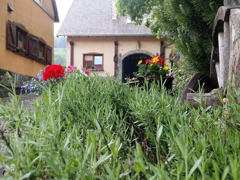 Agroturystyka Agro-Podkowka Marciszow Экстерьер фото