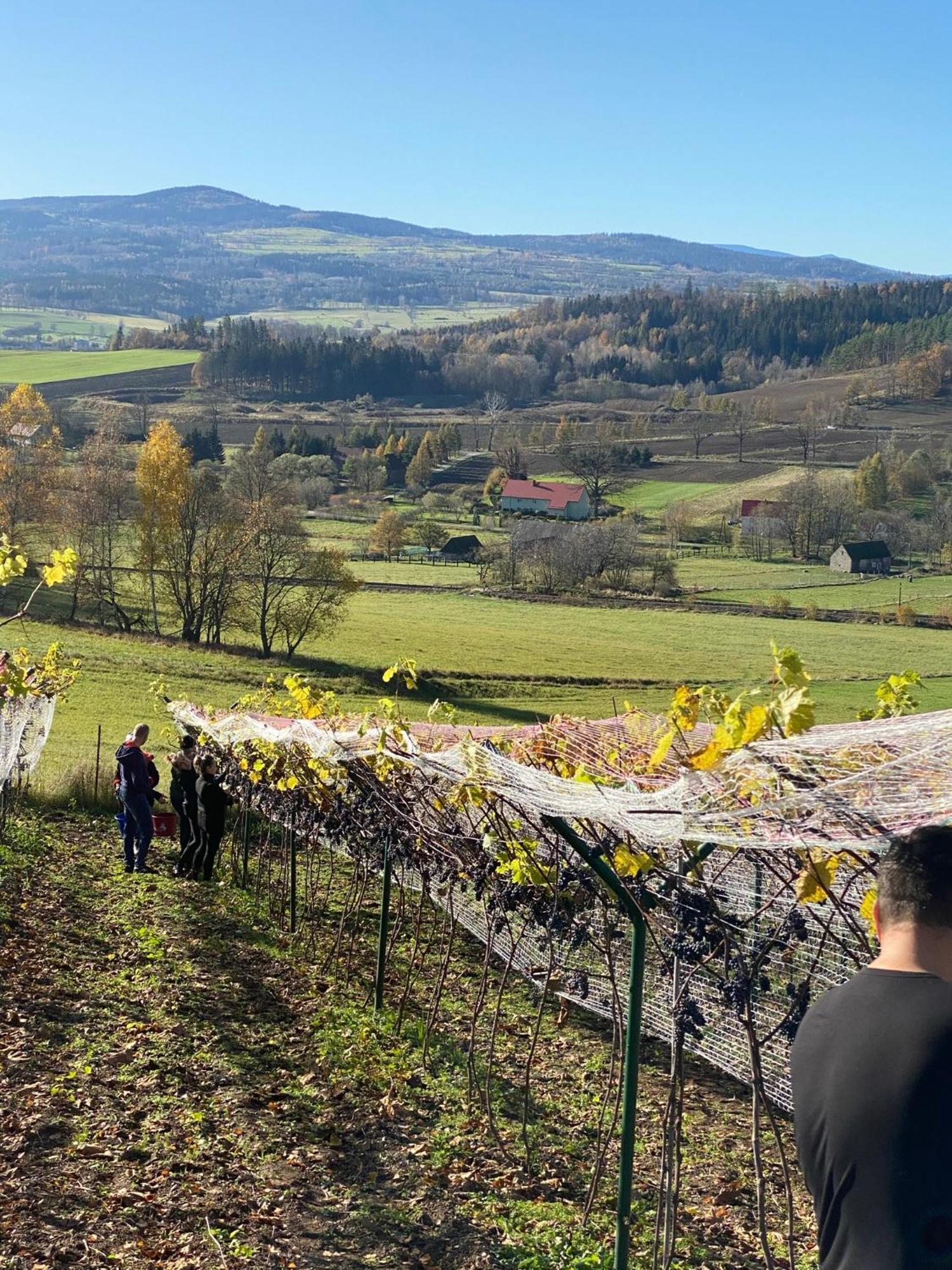Agroturystyka Agro-Podkowka Marciszow Экстерьер фото