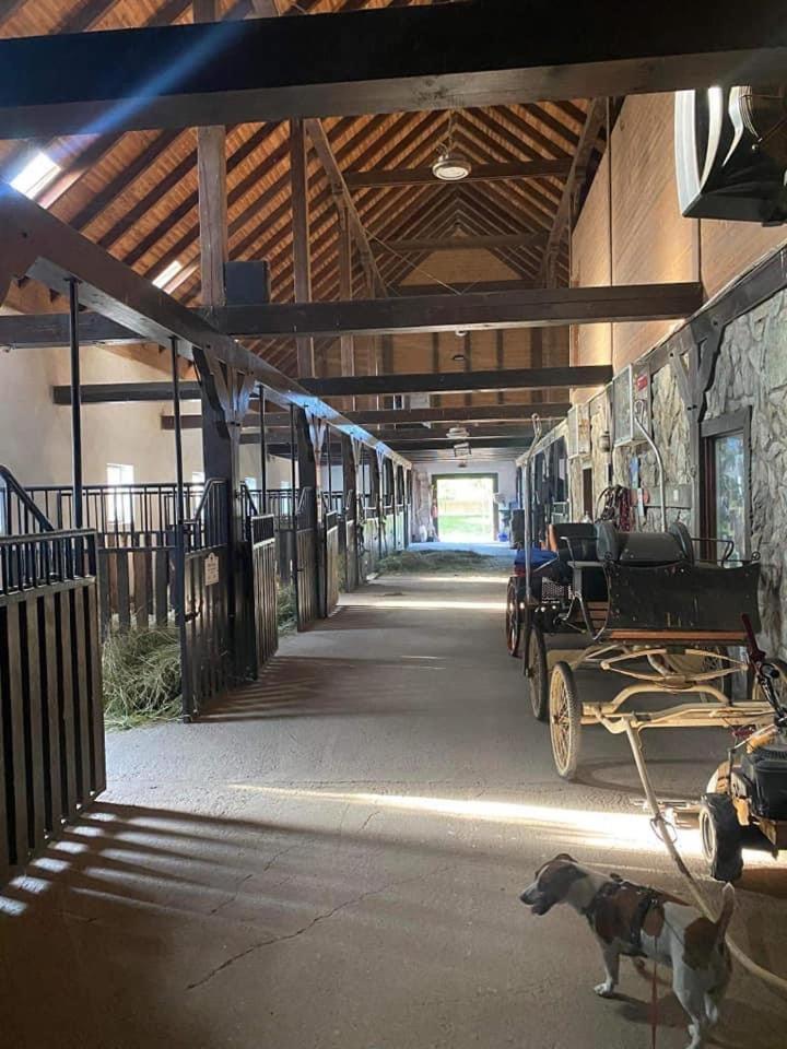 Agroturystyka Agro-Podkowka Marciszow Экстерьер фото