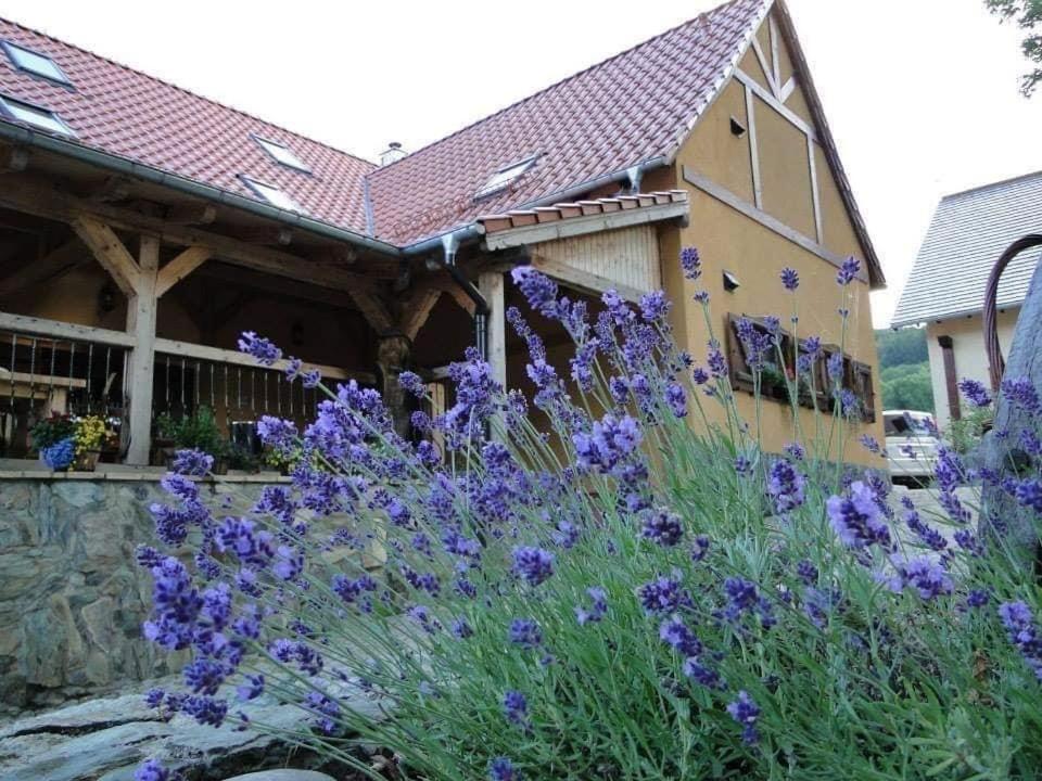 Agroturystyka Agro-Podkowka Marciszow Экстерьер фото